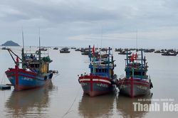 Vạn Lộc khai thác hiệu quả tiềm năng thủy, hải sản