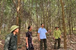 “Lá chắn” giữ vững an ninh rừng