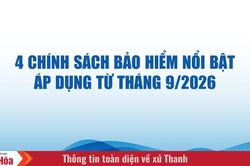 4 chính sách bảo hiểm nổi bật áp dụng từ tháng 9/2026
