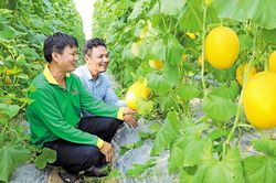 Bảo Đài: Chung sức, đồng lòng dựng xây quê hương