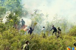 Đà Nẵng tăng cường phòng cháy, chữa cháy rừng trong thời tiết nắng nóng