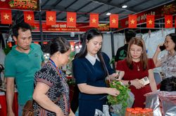 Hải Vân: Hội tụ sắc màu văn hóa, kết nối sản vật địa phương