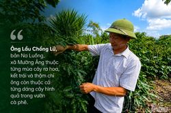Một nghị quyết, hai cây chủ lực và khát vọng vươn mình