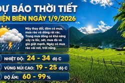 Bản tin Dự báo thời tiết ngày 1/9/2026