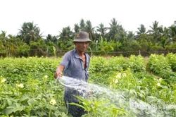 Phường Mỹ Phong: Quyết tâm thực hiện mục tiêu giảm nghèo bền vững