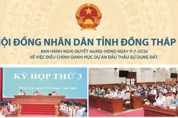 Hội đồng nhân dân tỉnh Đồng Tháp ban hành Nghị quyết 46 ngày 9-7-2026 việc điều chỉnh danh mục dự án đấu thầu sử dụng đất