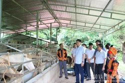 Học Bác trong từng nhiệm vụ