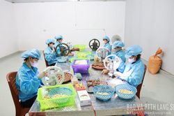 Phát triển toàn diện nông thôn