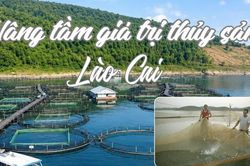 Nâng tầm giá trị thủy sản Lào Cai