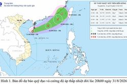 Ninh Bình chủ động ứng phó với áp thấp nhiệt đới có khả năng mạnh lên thành bão