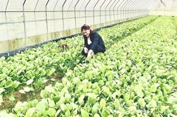 Ứng dụng công nghệ số trong nông nghiệp