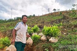 Gương sáng giữa đại ngàn