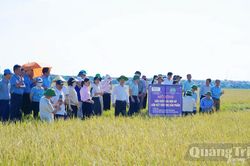 Liên kết sản xuất nông sản
