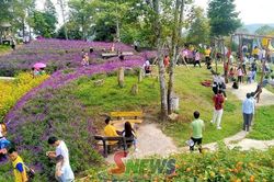 Bình Thuận đón 3.000 lượt khách du lịch trong 3 ngày đầu của kỳ nghỉ lễ 2/9