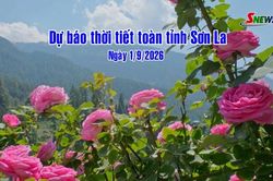 Dự báo thời tiết toàn tỉnh Sơn La ngày 1/9/2026