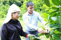 Đa dạng h&oacute;a sinh kế, hướng tới giảm ngh&egrave;o bền vững