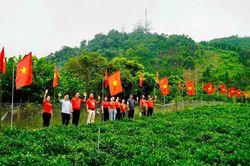 Sắc cờ trên đường quê Bình An