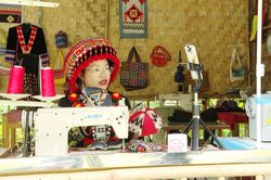 Chuyện về những 'nông dân số'