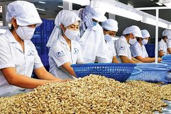 Giải bài toán 'xuất khẩu lớn, thương hiệu nhỏ'