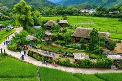 Tuyến bài: Nông thôn mới sau vạch đích