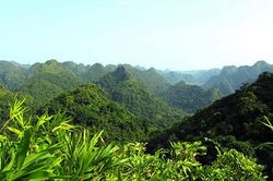 "Rừng xanh làm ra tiền", 11 cộng đồng miền núi Nghệ An lần đầu hưởng lợi từ ERPA năm 2026