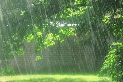 Dự báo thời tiết ngày 31/8: Miền Bắc ngày nắng gián đoạn, miền Nam mưa dông cuối ngày