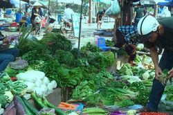 Con gà, quả trứng, bó rau khó lấy hóa đơn: Gỡ 'nút thắt' thuế cho hàng triệu hộ kinh doanh