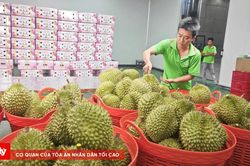 Xuất khẩu rau quả Việt Nam tiếp tục lập kỳ tích với tháng thứ hai liên tiếp vượt mốc 1 tỷ USD