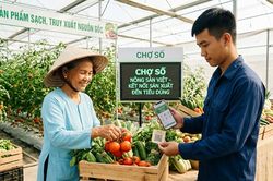 Khi nông sản lên quầy 'chợ số'