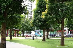 Đô thị xanh - Từ chất lượng sống đến giá trị bền vững