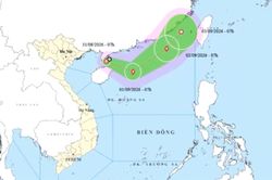 Chủ động ứng phó với áp thấp nhiệt đới có khả năng mạnh lên thành bão