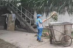 Rác thải tổn đọng được khắc phục sau phản ánh