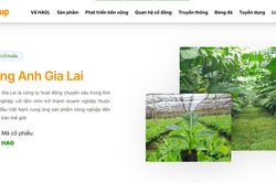 HAGL (HAG) bán gần 14,7 triệu cổ phần HGI với giá thấp hơn 25% so với giá IPO