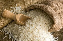 Xuất khẩu gạo đạt gần 2,91 tỷ USD sau 8 tháng, giá bắt đầu phục hồi