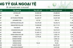 Tỷ giá ngoại tệ ngày 31/8: USD mua vào 25.850 đồng, GBP bán ra gần 36.000 đồng