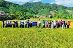 Tp. Huế: Xã Khe Tre hướng tới vùng nguyên liệu Nếp Than gắn với sản phẩm OCOP