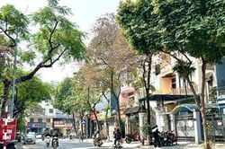 Hà Nội nắng nóng, chiều tối mưa rào