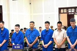 Trộm hơn 3 tạ vật liệu 'bạc dạng keo', nhóm công nhân lĩnh án tù