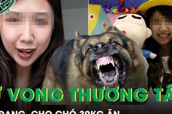 Bị chó tấn công khi đang cho ăn, người phụ nữ 33 tuổi tử vong thương tâm