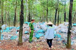 Chủ cơ sở nhựa đem gần 8,5 tấn chất thải đổ vào rừng cao su
