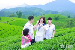 Chè xanh mở lối du lịch