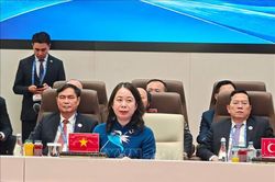 Việt Nam coi trọng quan hệ với Tổ chức Hợp tác Thượng Hải