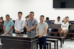 Xét xử 4 đối tượng trong đường dây buôn lậu hổ xuyên quốc gia