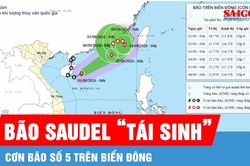 Áp thấp nhiệt đới đã mạnh lên thành bão số 5