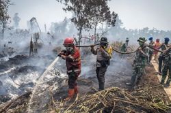 Indonesia đóng cửa 9 vườn quốc gia do cháy rừng