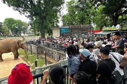 [GALLERY] Điểm vui chơi tại Hà Nội đông khách dịp nghỉ lễ Quốc khánh 2/9