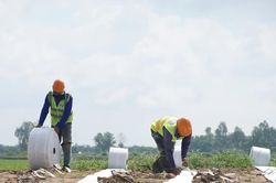 Thi công xuyên lễ dự án cao tốc hơn 9.700 tỷ qua Cần Thơ