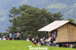 Du khách nườm nượp check-in Mù Cang Chải