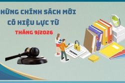 Những chính sách kinh tế có hiệu lực từ tháng 9/2026