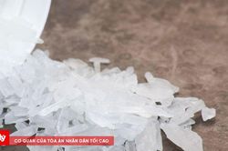 Bắt giữ nhiều đối tượng mua bán, sử dụng ma túy